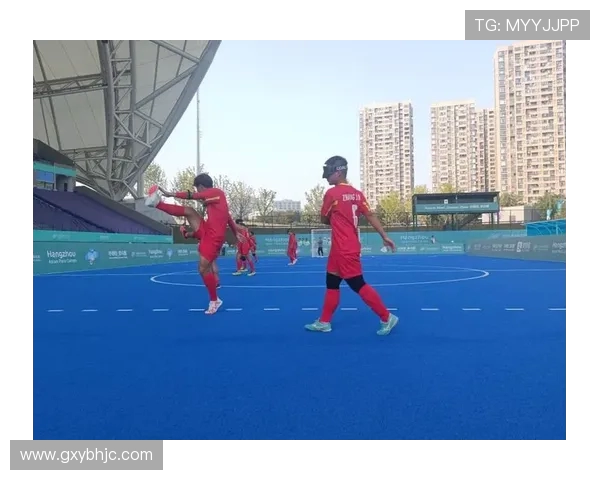 杭州羽毛球队整体压制革新之路探索与实践分析